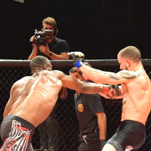 MMA Fights 7 live bouts